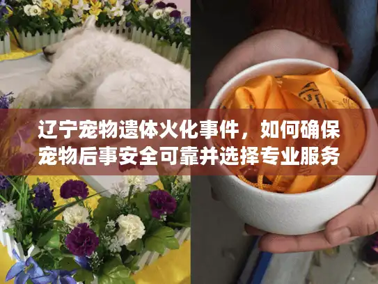 辽宁宠物遗体火化事件，如何确保宠物后事安全可靠并选择专业服务？