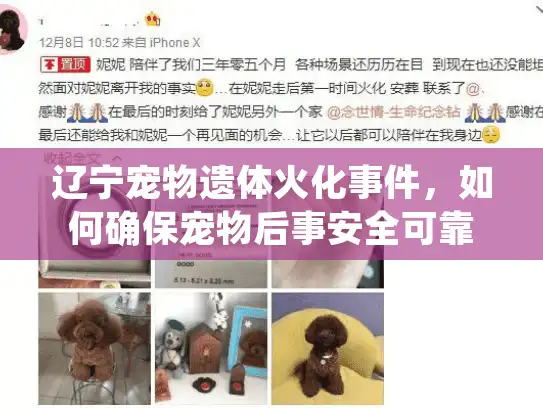 辽宁宠物遗体火化事件，如何确保宠物后事安全可靠并选择专业服务？