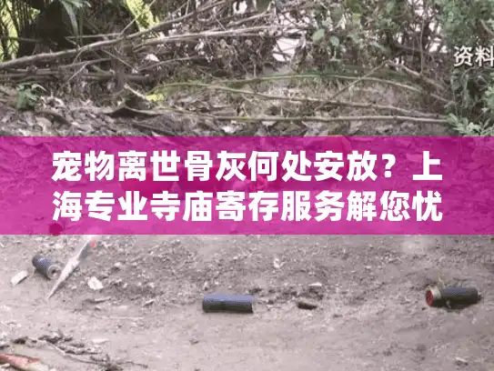 宠物离世骨灰何处安放？上海专业寺庙寄存服务解您忧愁