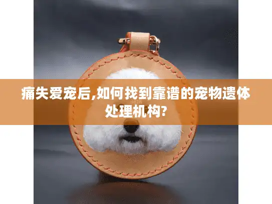 痛失爱宠后,如何找到靠谱的宠物遗体处理机构?