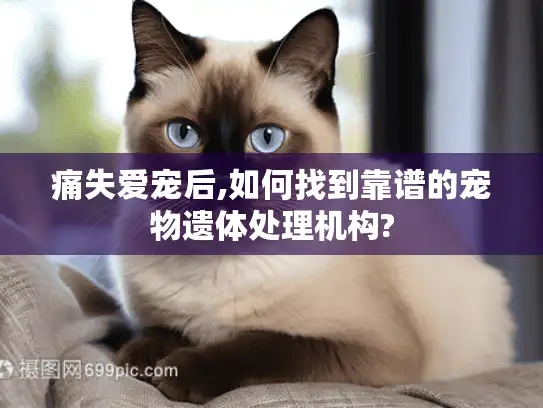 痛失爱宠后,如何找到靠谱的宠物遗体处理机构?