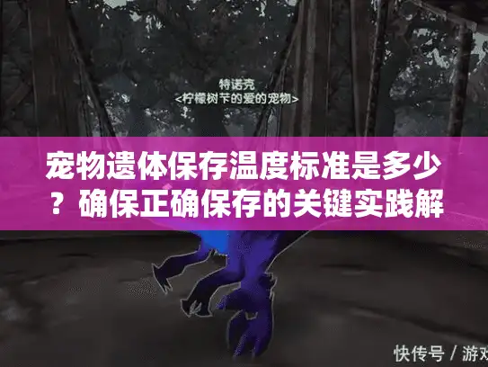 宠物遗体保存温度标准是多少？确保正确保存的关键实践解析