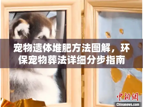 宠物遗体堆肥方法图解，环保宠物葬法详细分步指南
