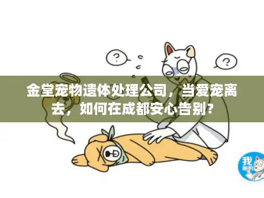 金堂宠物遗体处理公司，当爱宠离去，如何在成都安心告别？