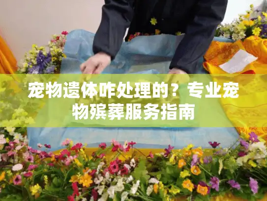 宠物遗体咋处理的？专业宠物殡葬服务指南