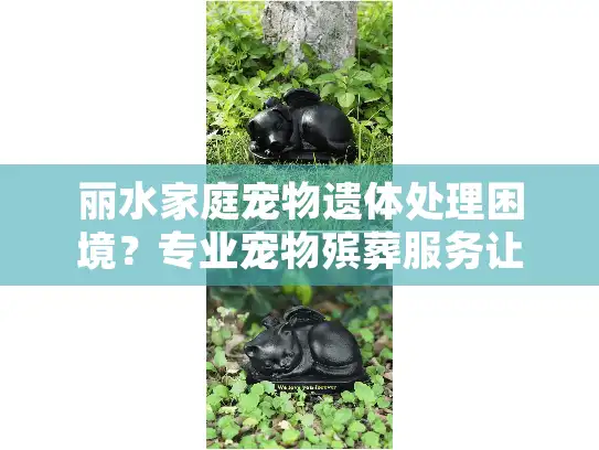 丽水家庭宠物遗体处理困境？专业宠物殡葬服务让告别更安心