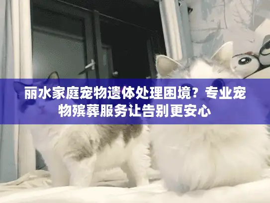 丽水家庭宠物遗体处理困境？专业宠物殡葬服务让告别更安心