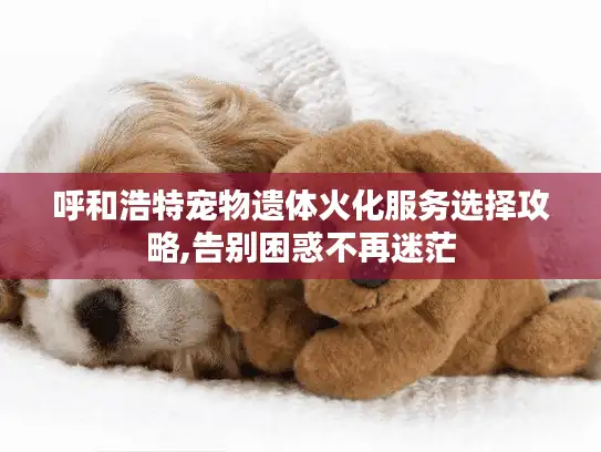 呼和浩特宠物遗体火化服务选择攻略,告别困惑不再迷茫