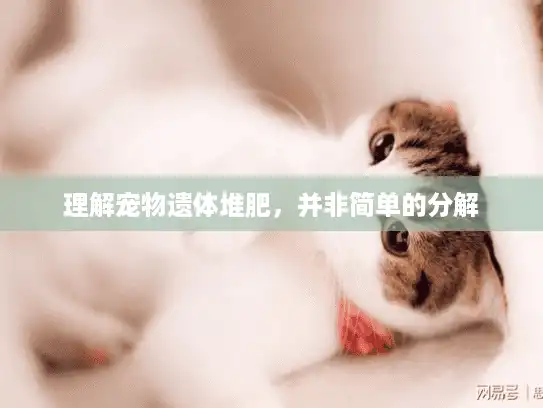 理解宠物遗体堆肥，并非简单的分解
