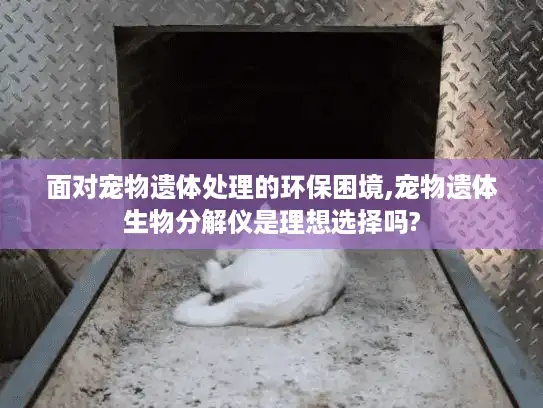面对宠物遗体处理的环保困境,宠物遗体生物分解仪是理想选择吗?