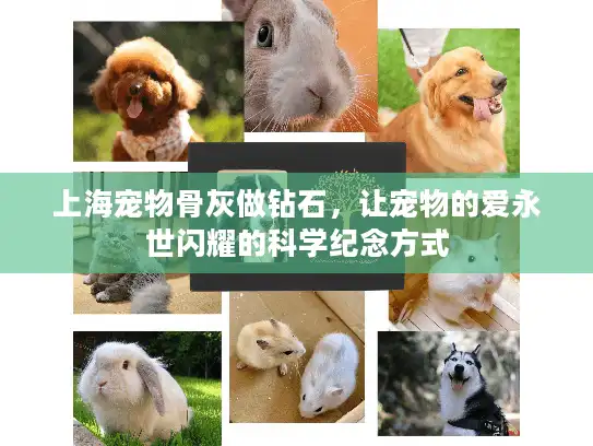 上海宠物骨灰做钻石，让宠物的爱永世闪耀的科学纪念方式