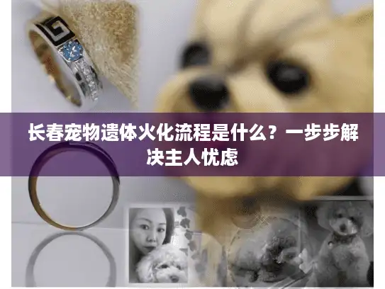 长春宠物遗体火化流程是什么？一步步解决主人忧虑