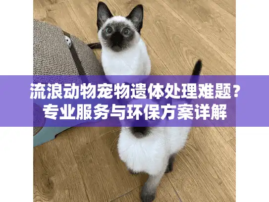 流浪动物宠物遗体处理难题？专业服务与环保方案详解