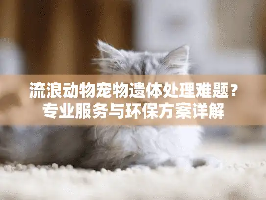 流浪动物宠物遗体处理难题？专业服务与环保方案详解