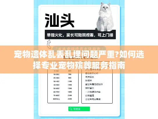 宠物遗体乱丢乱埋问题严重?如何选择专业宠物殡葬服务指南