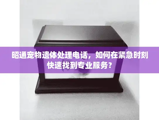 昭通宠物遗体处理电话，如何在紧急时刻快速找到专业服务？