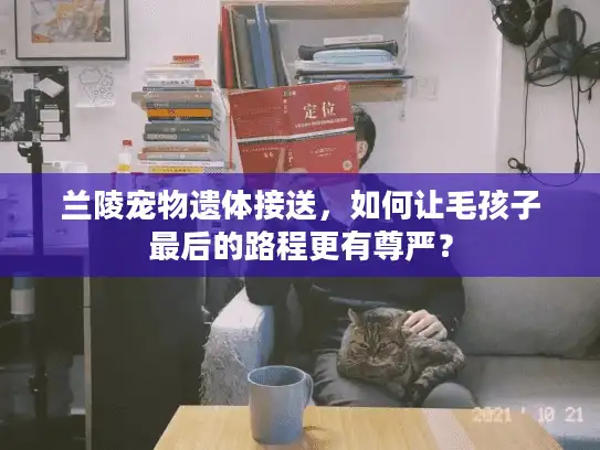 兰陵宠物遗体接送，如何让毛孩子最后的路程更有尊严？