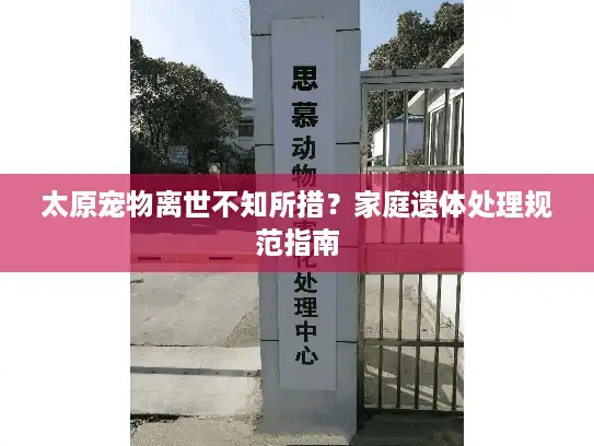 太原宠物离世不知所措？家庭遗体处理规范指南