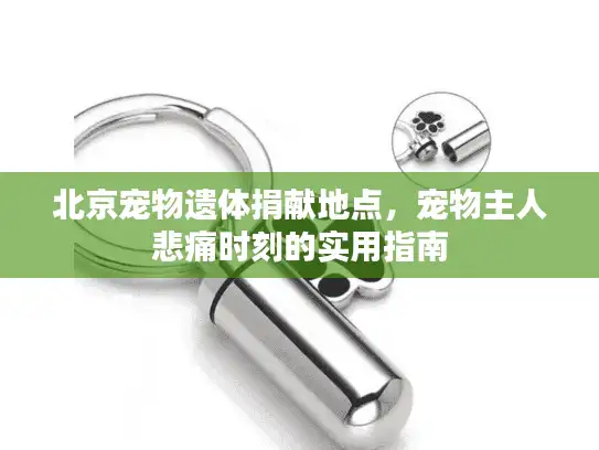北京宠物遗体捐献地点，宠物主人悲痛时刻的实用指南