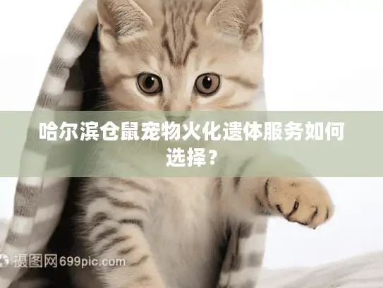 哈尔滨仓鼠宠物火化遗体服务如何选择？