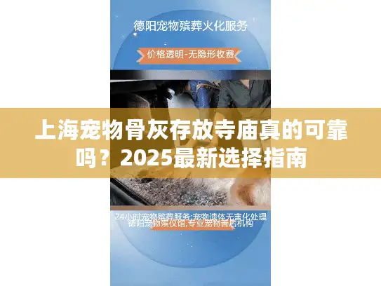 上海宠物骨灰存放寺庙真的可靠吗？2025最新选择指南