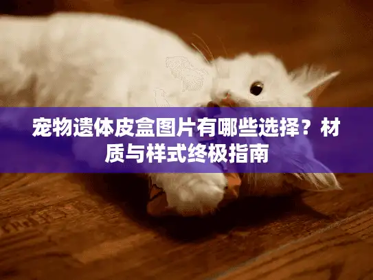 宠物遗体皮盒图片有哪些选择？材质与样式终极指南