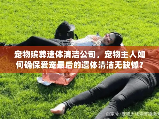 宠物殡葬遗体清洁公司，宠物主人如何确保爱宠最后的遗体清洁无缺憾？