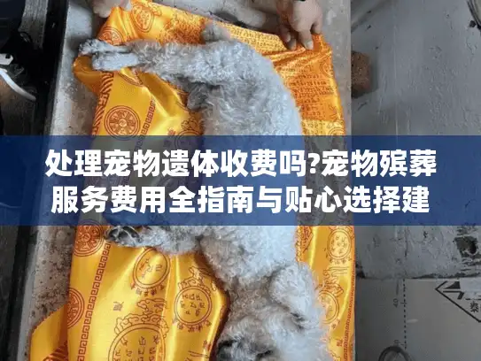 处理宠物遗体收费吗?宠物殡葬服务费用全指南与贴心选择建议