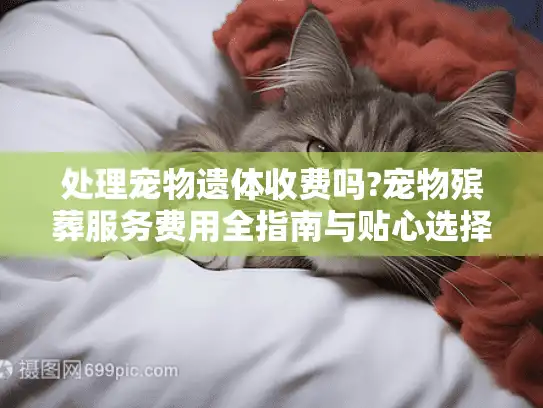 处理宠物遗体收费吗?宠物殡葬服务费用全指南与贴心选择建议