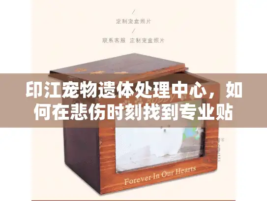 印江宠物遗体处理中心，如何在悲伤时刻找到专业贴心的宠物殡葬服务？