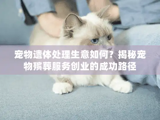 宠物遗体处理生意如何？揭秘宠物殡葬服务创业的成功路径