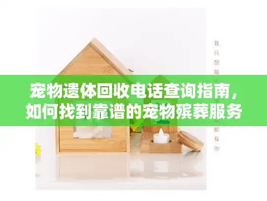 宠物遗体回收电话查询指南，如何找到靠谱的宠物殡葬服务？