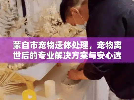 蒙自市宠物遗体处理，宠物离世后的专业解决方案与安心选择