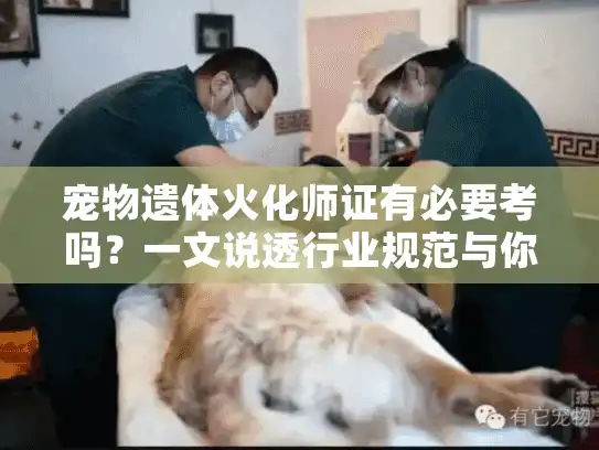 宠物遗体火化师证有必要考吗？一文说透行业规范与你的安心之选