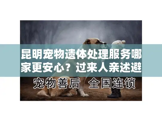 昆明宠物遗体处理服务哪家更安心？过来人亲述避坑指南
