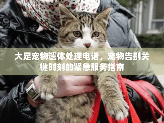 大足宠物遗体处理电话，宠物告别关键时刻的紧急服务指南