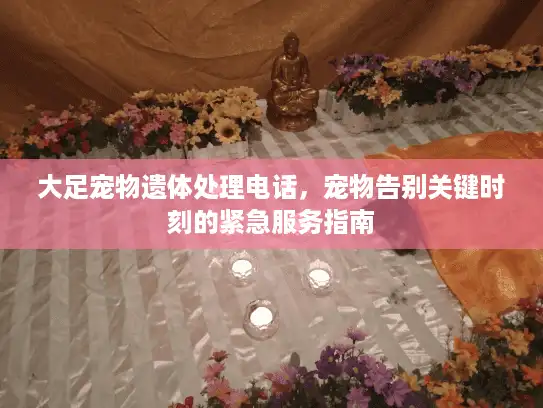 大足宠物遗体处理电话，宠物告别关键时刻的紧急服务指南
