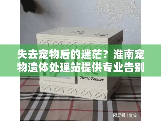 失去宠物后的迷茫？淮南宠物遗体处理站提供专业告别方案