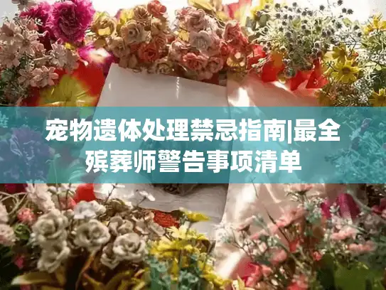 宠物遗体处理禁忌指南|最全殡葬师警告事项清单