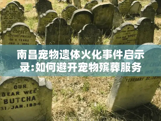 南昌宠物遗体火化事件启示录:如何避开宠物殡葬服务陷阱