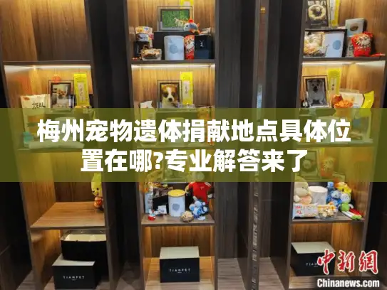 梅州宠物遗体捐献地点具体位置在哪?专业解答来了