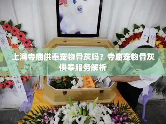 上海寺庙供奉宠物骨灰吗？寺庙宠物骨灰供奉服务解析