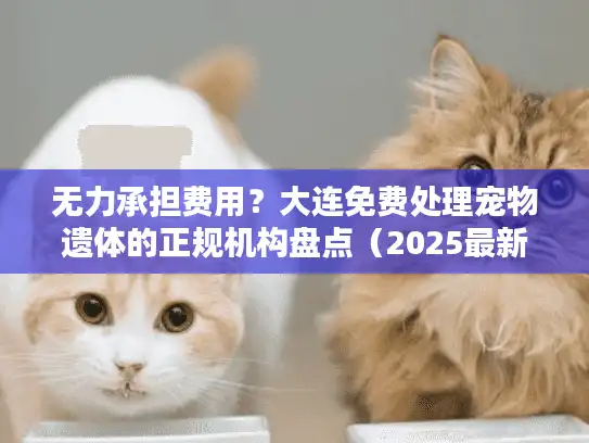无力承担费用？大连免费处理宠物遗体的正规机构盘点（2025最新）