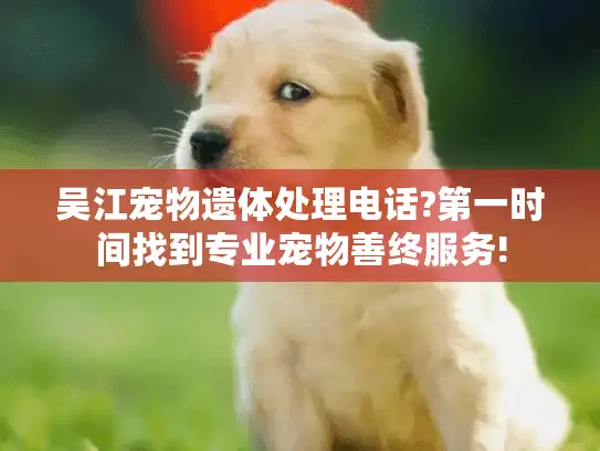 吴江宠物遗体处理电话?第一时间找到专业宠物善终服务!