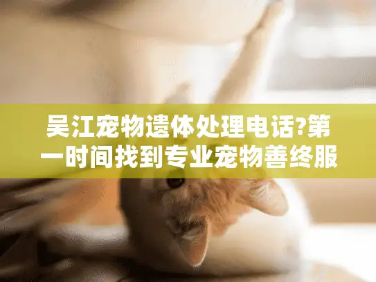 吴江宠物遗体处理电话?第一时间找到专业宠物善终服务!