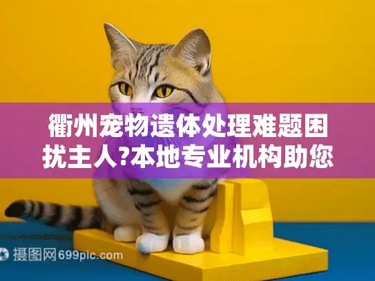 衢州宠物遗体处理难题困扰主人?本地专业机构助您体面告别