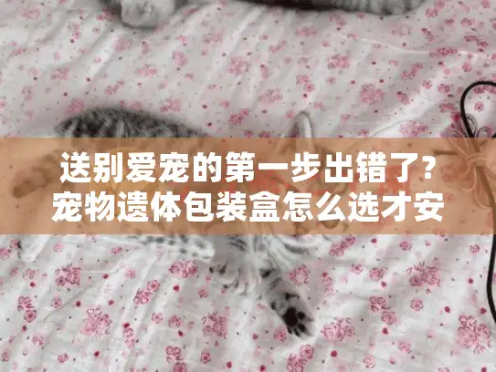 送别爱宠的第一步出错了?宠物遗体包装盒怎么选才安心