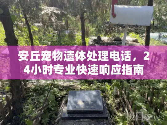 安丘宠物遗体处理电话，24小时专业快速响应指南