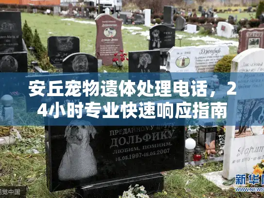 安丘宠物遗体处理电话，24小时专业快速响应指南