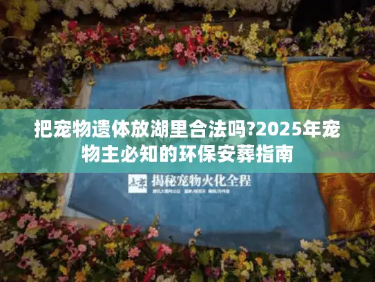 把宠物遗体放湖里合法吗?2025年宠物主必知的环保安葬指南